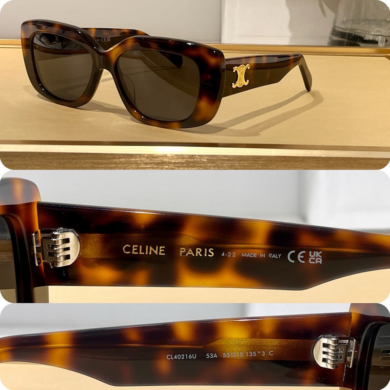 Celine Glasses smx (634)